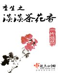 《重生之淡淡茶花香/重生之澹澹茶花香》