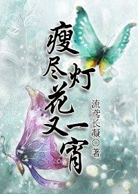 《瘦盡燈花又一宵》