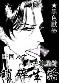 《HP同人之小天狼星的瑣隧生活》