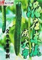 《混在東瀛成大亨》