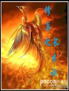 《修真之倡生訣》