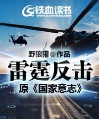 《雷霆反擊/國家意志》