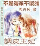 《不是冤家不聚頭:調皮王妃》