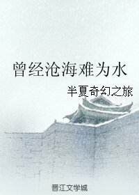 《(血滴子同人)曾經滄海難為水》