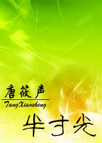 《半寸光》