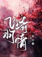 《飛羽奇情》