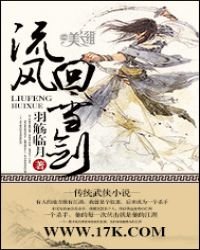 《流風迴雪劍》