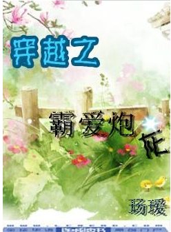 《穿越之霸愛炮灰》