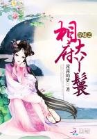 《穿越之相府大丫鬟》