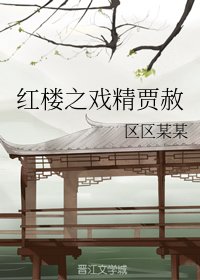 《(宏樓同人)宏樓之戲精賈赦》