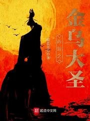 《西遊之金烏大聖》