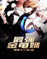 《最強金贵婿》