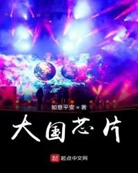 《大國芯片》