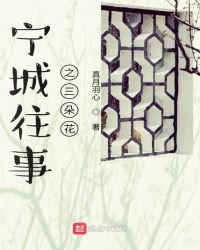 《寧城往事之三朵花》