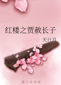 《(紅樓同人)紅樓之賈赦長子》