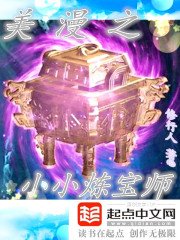 《美漫之小小煉雹師》