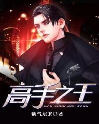《高手之王》