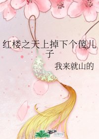 （紅樓夢同人）紅樓之天上掉下個傻兒子