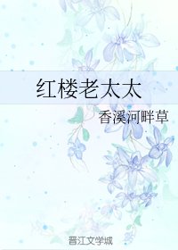 《(紅樓同人)紅樓老太太》