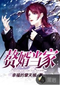 《贅婿當家》