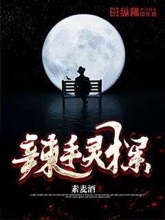 《辣手靈探》