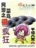 《網遊之菜鳥很瘋狂》