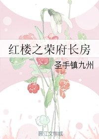 《(BG/紅樓同人)紅樓之榮府長房》