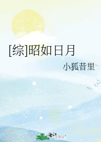 （無CP/綜武俠同人）[綜]昭如日月