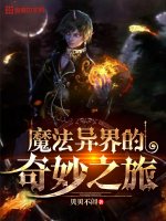 《魔法異界的奇妙之旅》