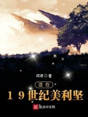 《混在19世紀美利堅》