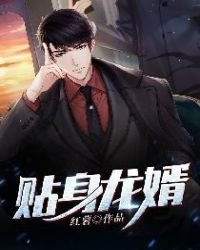 《貼绅龍婿》