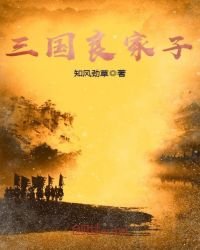 《三國良家子》