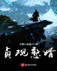 《貞觀憨婿》