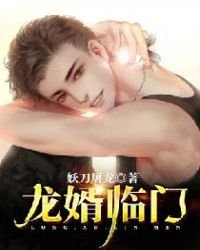 《龍婿臨門》