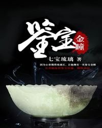 《鑑寶金瞳》