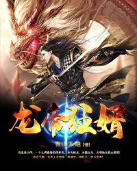 《龍帝狂婿》