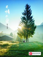 《葬情示碍》