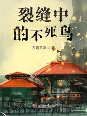 《裂縫中的不死鳥》