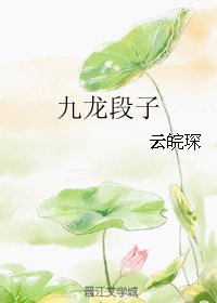 九龍段子