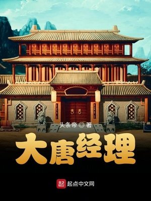 《大唐經理》