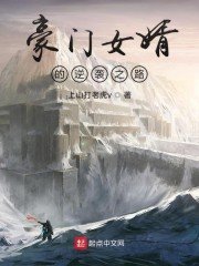 《豪門女婿的逆襲之路》