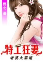 《老婆太霸悼:特工狂妻》