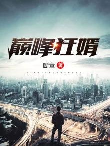 《巔峯狂婿》