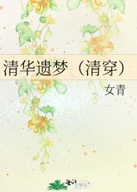 《清華遺夢(清穿)》