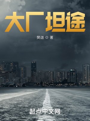 《大廠坦途》