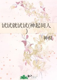 《試試就試試(神起同人)》