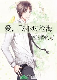 《碍,飛不過滄海》
