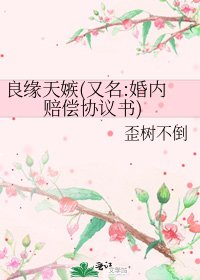 《良緣天嫉(又名:婚內賠償協議書)》