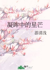 凝眸中的星芒