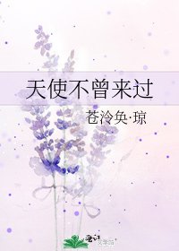 《天使不曾來過》